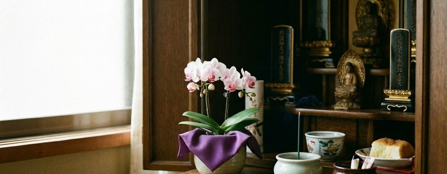 水替え不要でお手入れしやすい