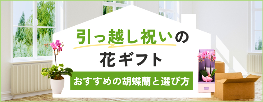 引っ越し祝いの花ギフト