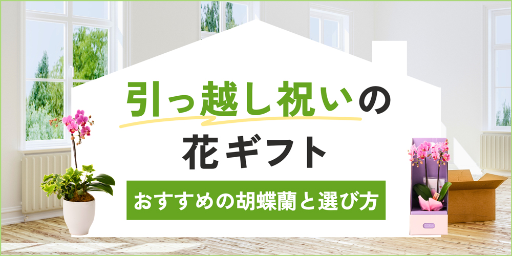 引っ越し祝いには胡蝶蘭が定番！住まいに合った花ギフト選びとマナーを解説
