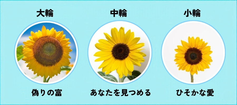 花のサイズ別の花言葉