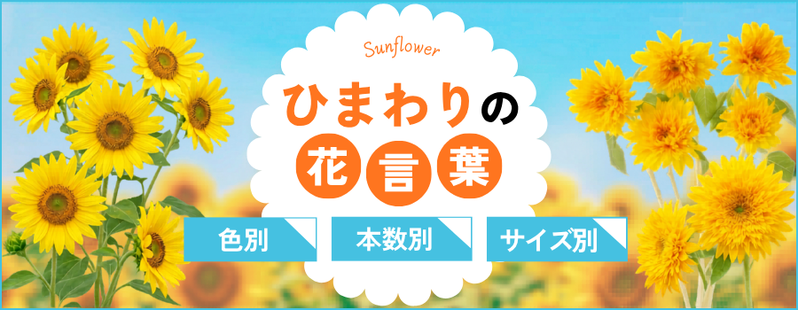 ひまわりの花言葉　色別　本数別　サイズ別