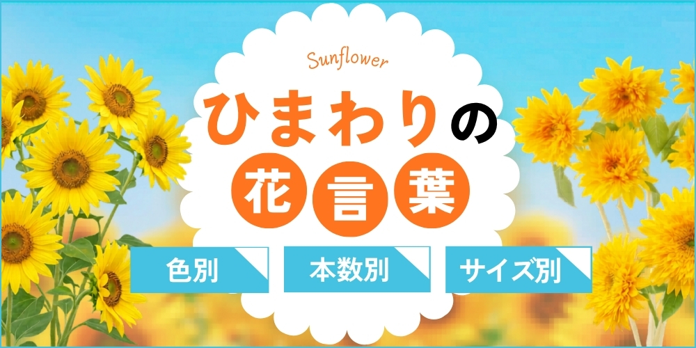 ひまわりの花言葉を完全解説｜色・本数・サイズ別の意味と選び方ガイド