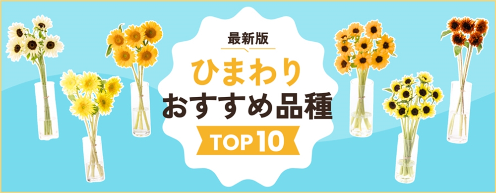 ひまわりおすすめ品種TOP10