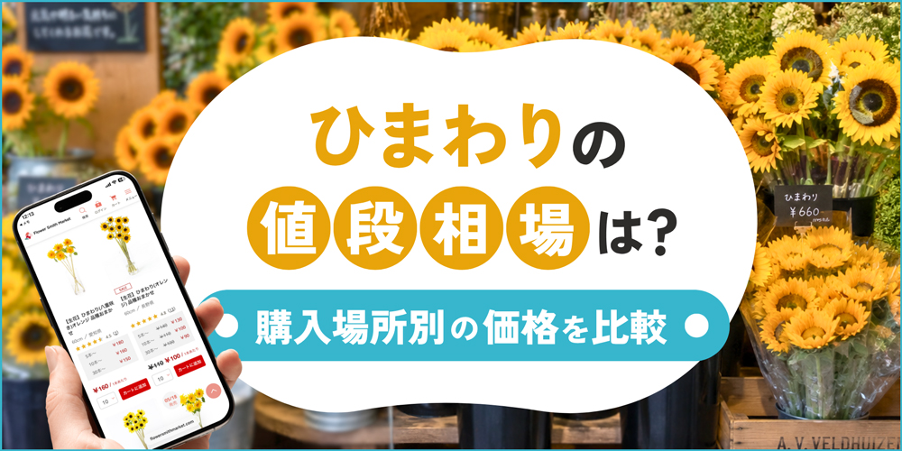 ひまわりの値段はどれくらい？購入場所別の相場とコスパ重視で仕入れる
