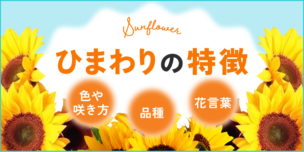 花の本数別の意味とは？贈る相手別のおすすめ、注意が必要な本数を紹介