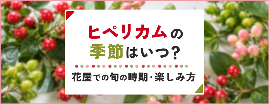 ヒペリカムの季節はいつ？