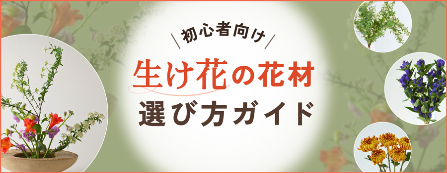 生け花の花材選び方ガイド