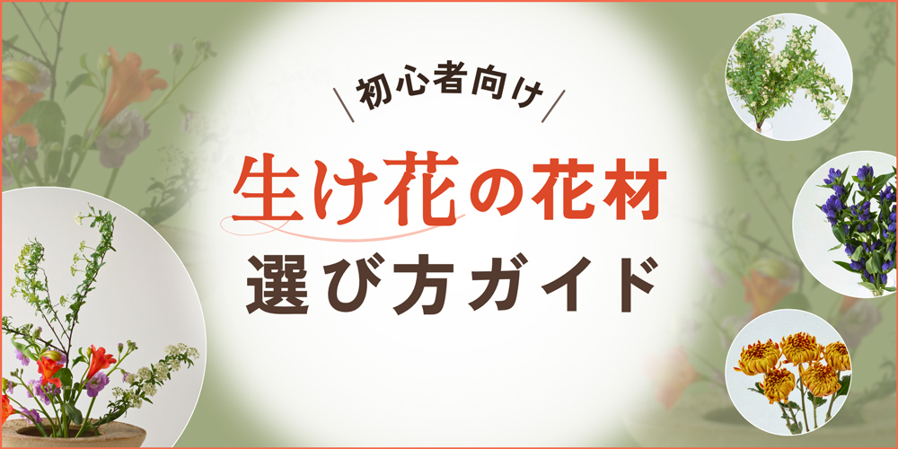 【初心者向け】生け花に使う花材の選び方ガイド｜季節の組み合わせと扱い方
