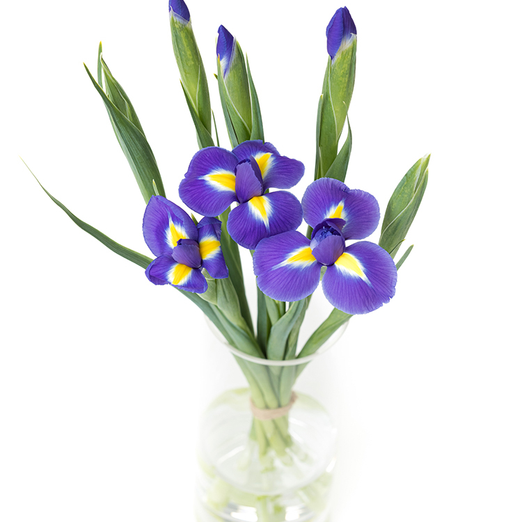 ③ぬるま湯につけておく