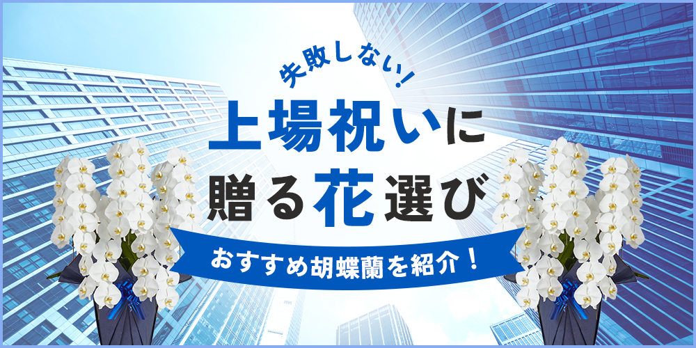 上場祝いに贈る胡蝶蘭5選｜相場から立札マナーまで徹底解説！