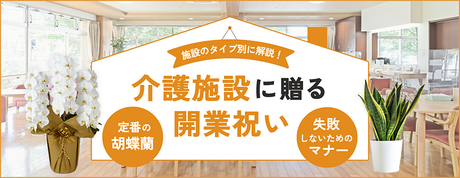 介護施設の開業祝いは胡蝶蘭や観葉植物が定番！贈りもの選びのマナーも解説