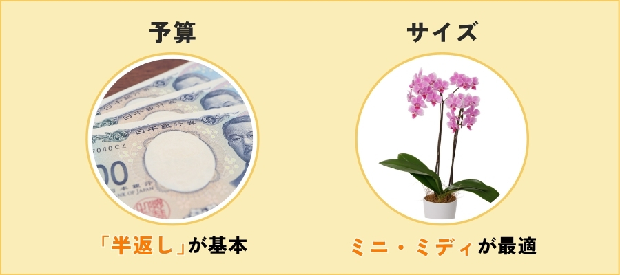 快気祝い（お見舞い返し）に贈る花の金額とサイズの選び方
