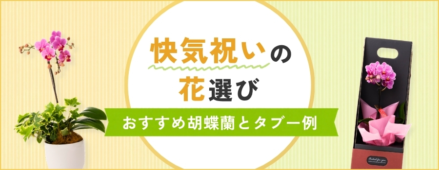 快気祝いの花選び　おすすめ胡蝶蘭とタブー例