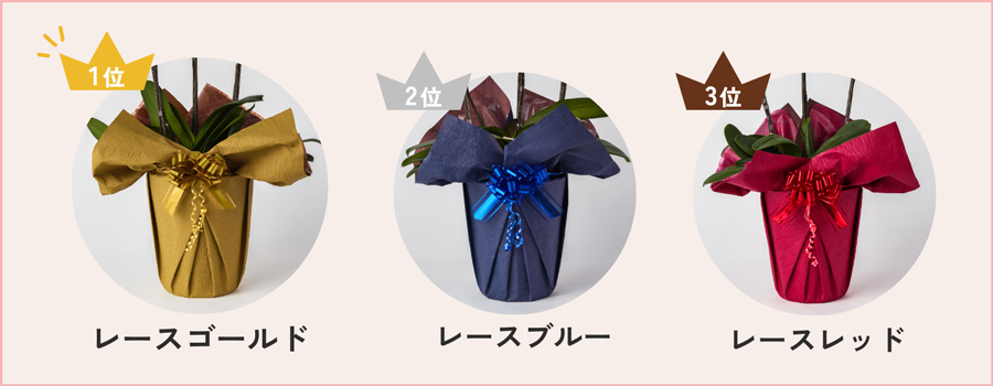 人気ラッピングTOP3