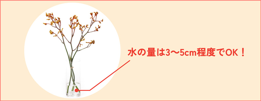 少なめの水で飾る
