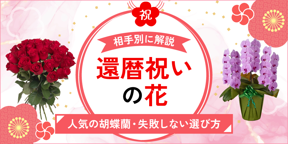 喜ばれる還暦祝いのお花を紹介！人気の胡蝶蘭や失敗しない選び方を徹底解説