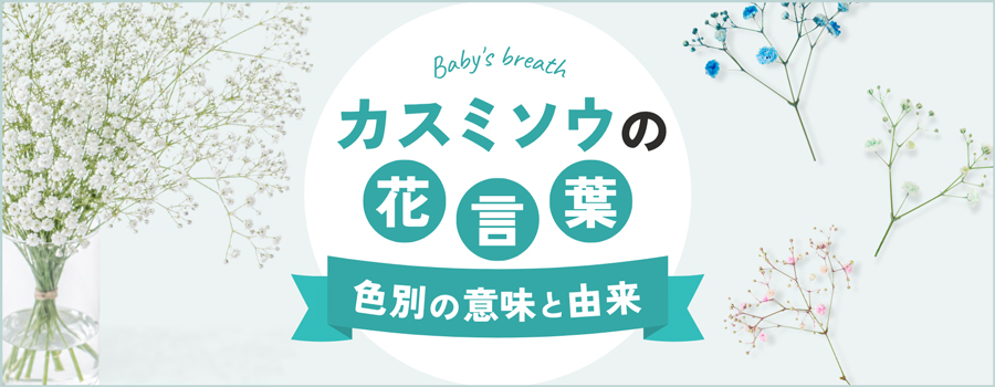 カスミソウの花言葉