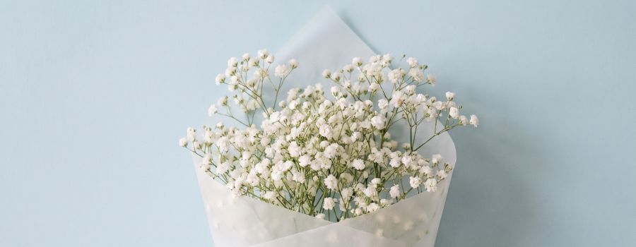 カスミソウだけの花束はいくら？値段別のボリューム感