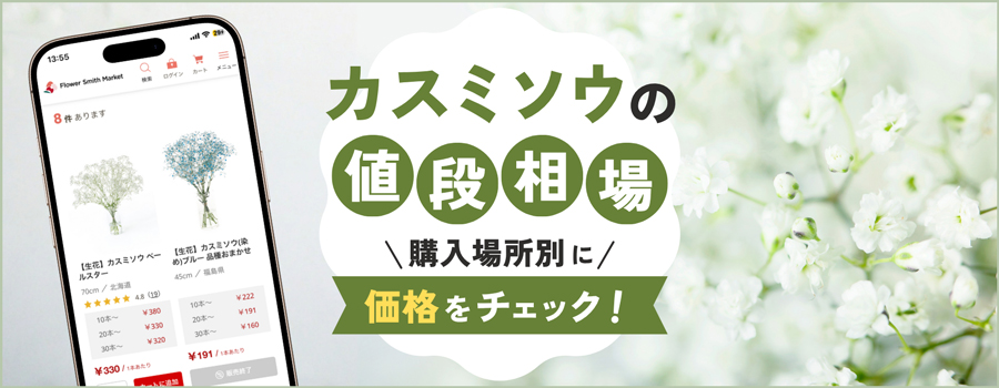 カスミソウの値段相場