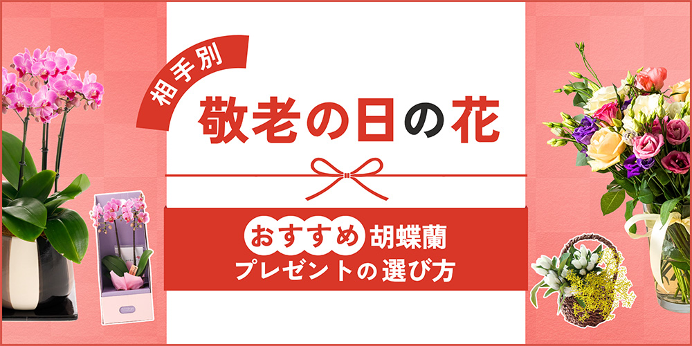 敬老の日の花ギフト！おすすめの胡蝶蘭や失敗しないプレゼントの選び方