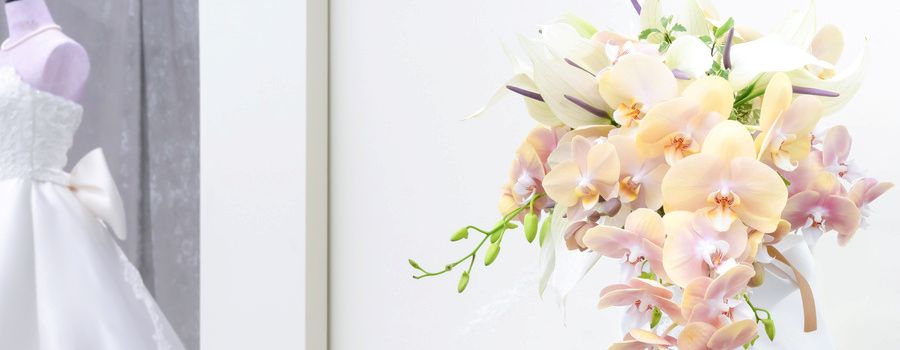 なぜ結婚祝いに胡蝶蘭？