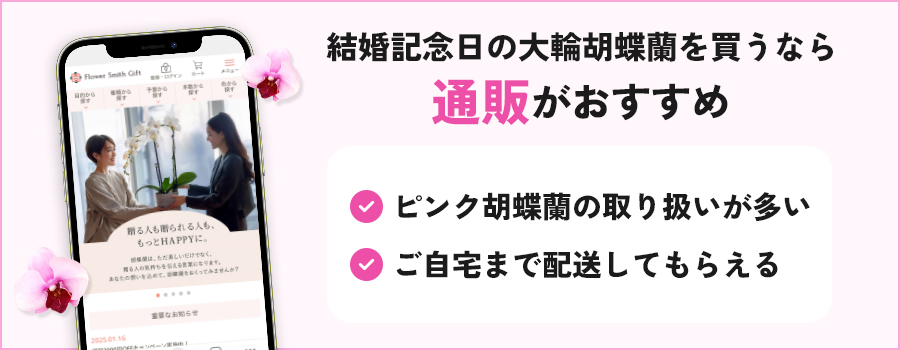 結婚記念日に大輪胡蝶蘭を買うなら通販がおすすめ