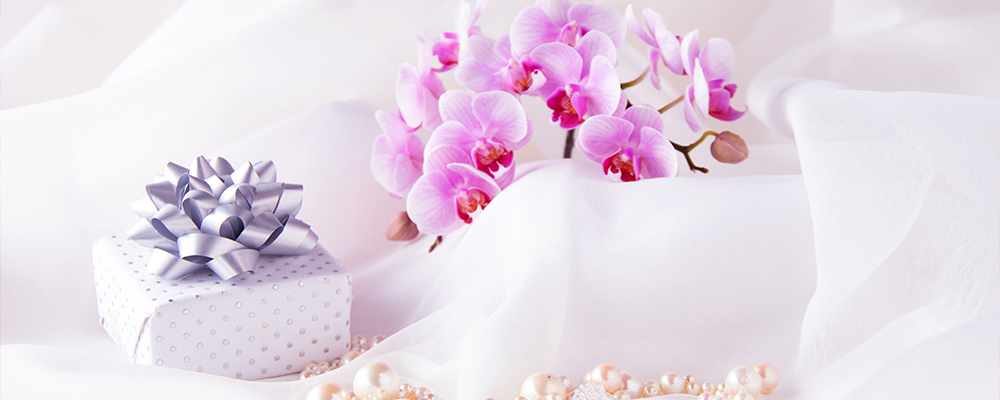 結婚記念日に贈る胡蝶蘭