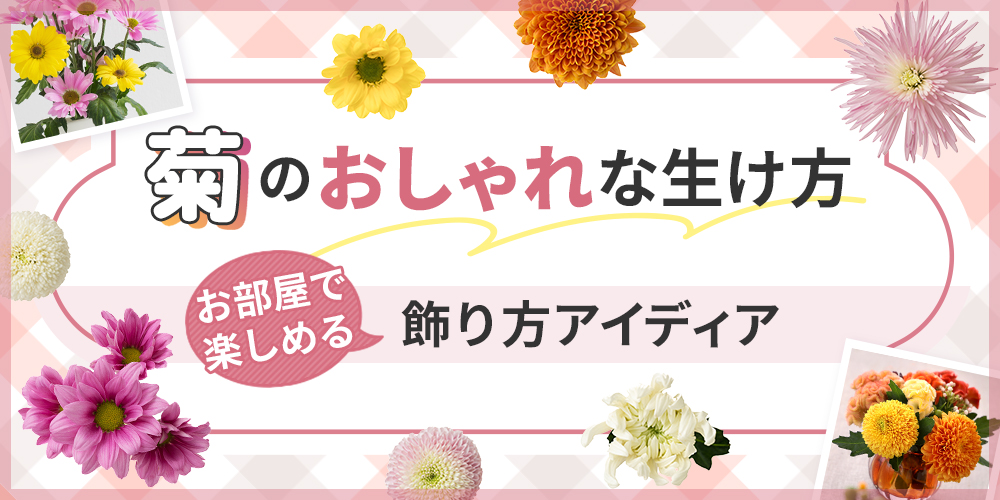 菊のおしゃれな生け方講座！仏壇以外でも楽しめる飾り方を紹介