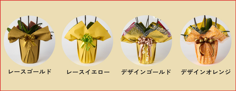 金婚式胡蝶蘭ラッピング