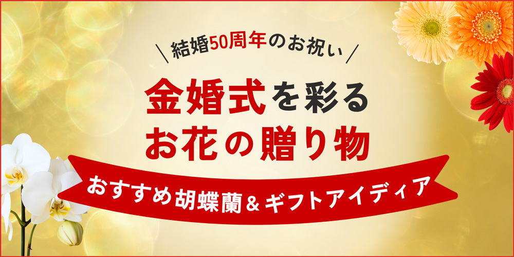  金婚式のお祝いに胡蝶蘭を！結婚50周年を彩る花ギフトガイド