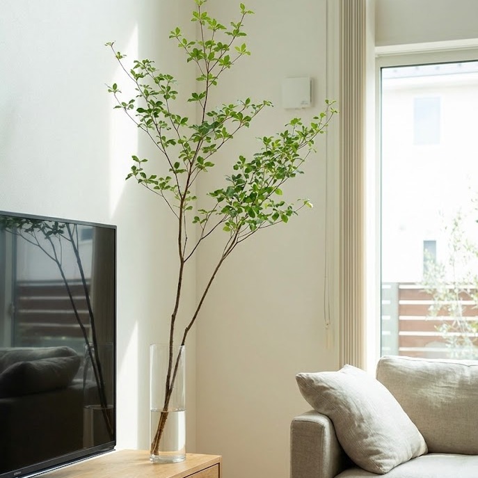 リビングやテレビ台に