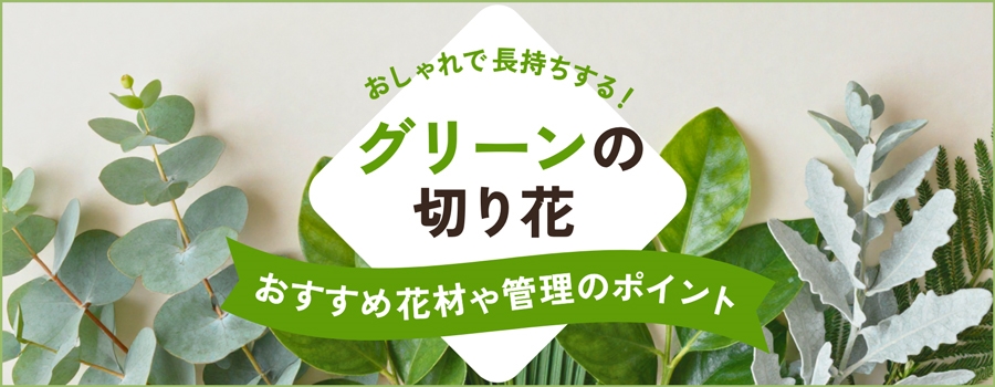 グリーンの切り花