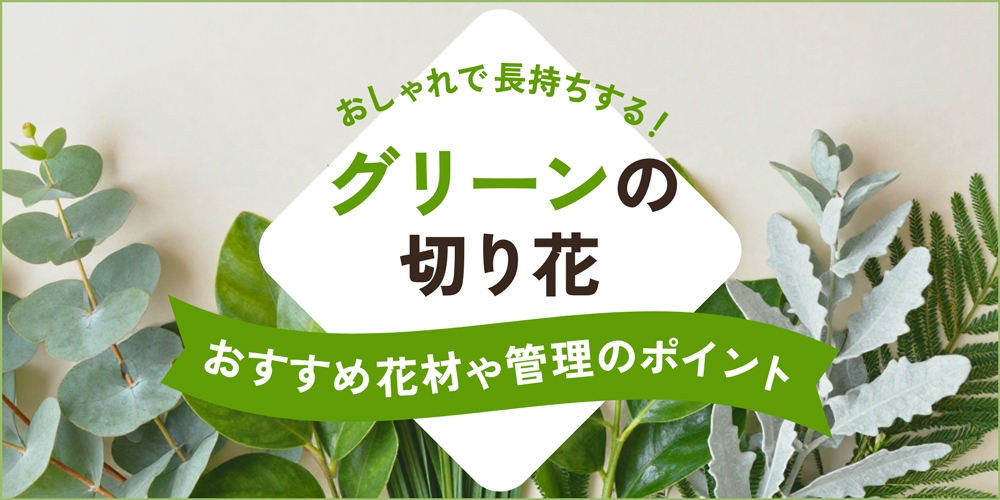 おしゃれで長持ちするグリーンの切り花｜おすすめ花材や管理のポイント