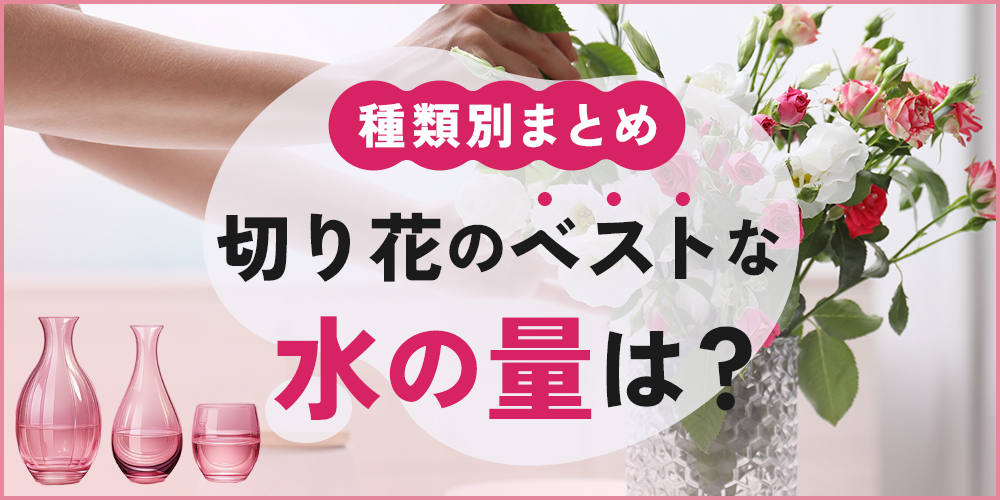 切り花のベストな水の量ってどれくらい？花の種類別に解説！