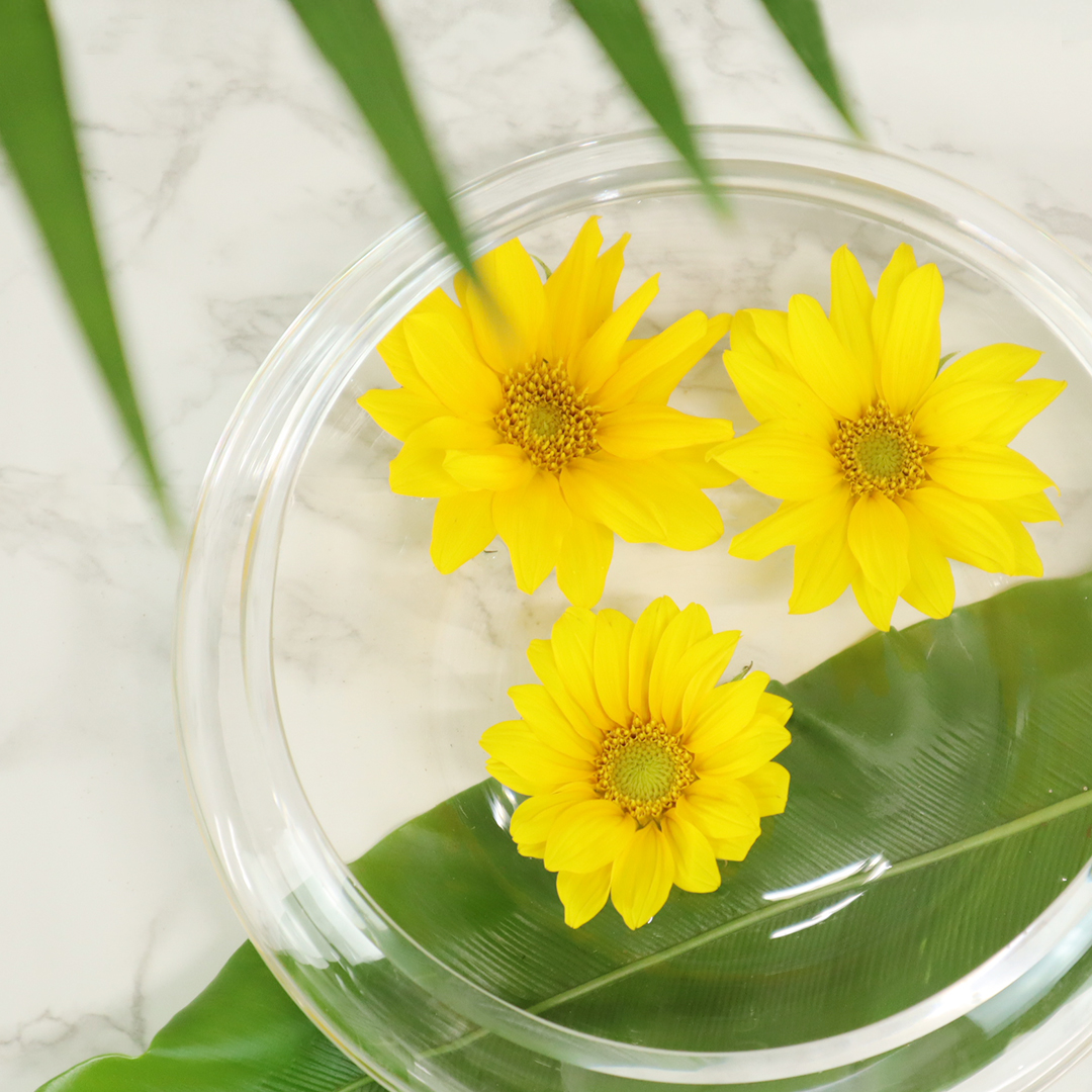 茎が全体的に傷んできたら、花の部分だけを水に浮かべる