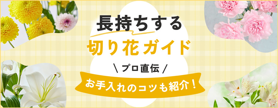 長持ちする切り花ガイド