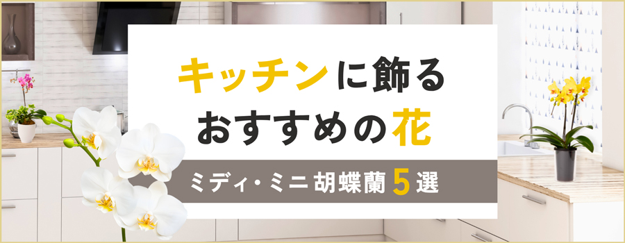 キッチンに飾るおすすめの花