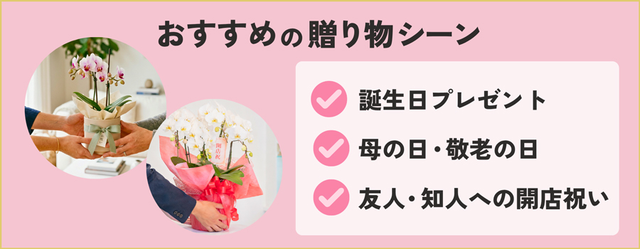 1万円の胡蝶蘭が向いている贈り物シーン