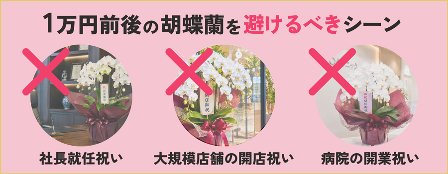 1万円前後の胡蝶蘭を避けるべきシーン