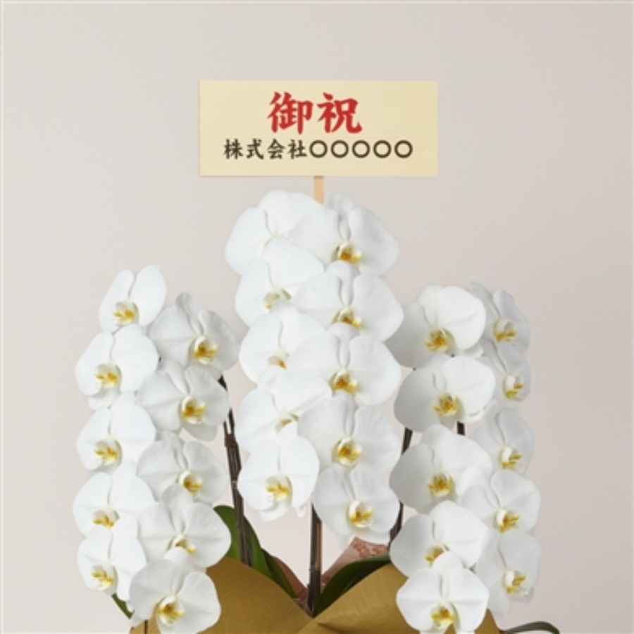 立札は「花上に付けるタイプ」を選ぶ