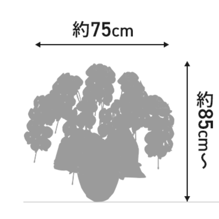 設置スペースは十分にあるか