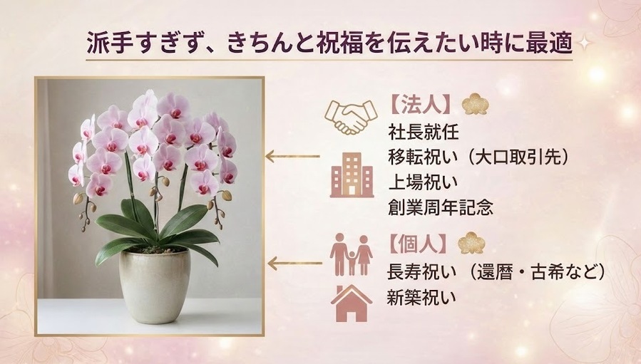 派手すぎず、きちんと主工夫を伝えたいときに最適