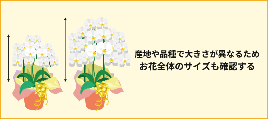 産地や品種で大きさが異なるためお花全体のサイズも確認する
