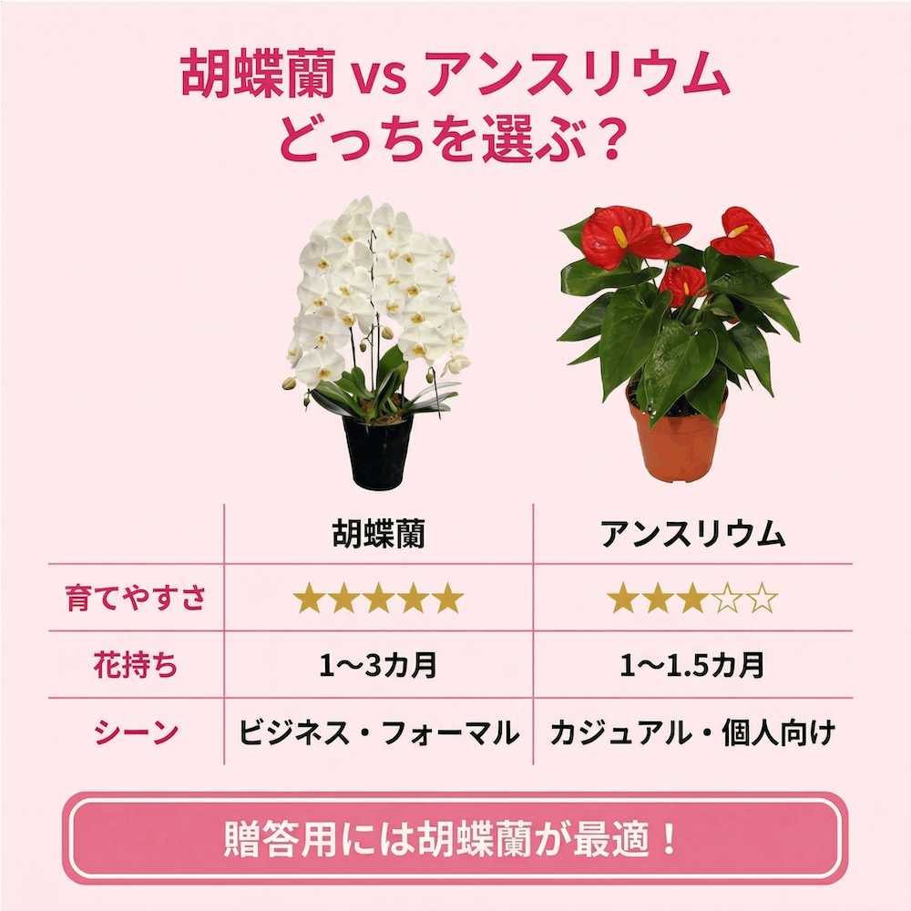 胡蝶蘭VSアンスリウムどっちを選ぶ？