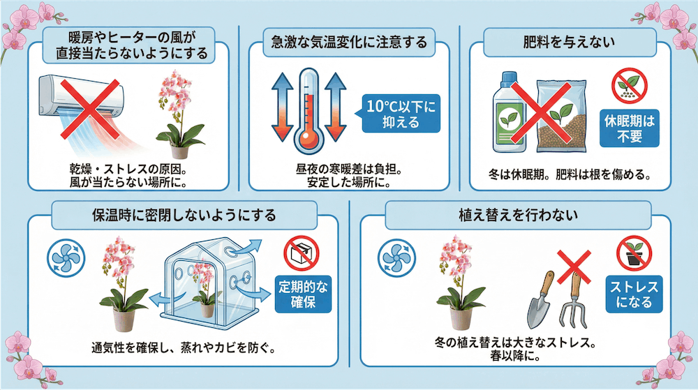 冬に胡蝶蘭を管理する際の注意点