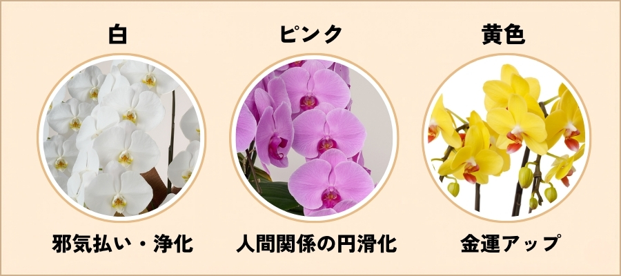 風水的な効果が高い