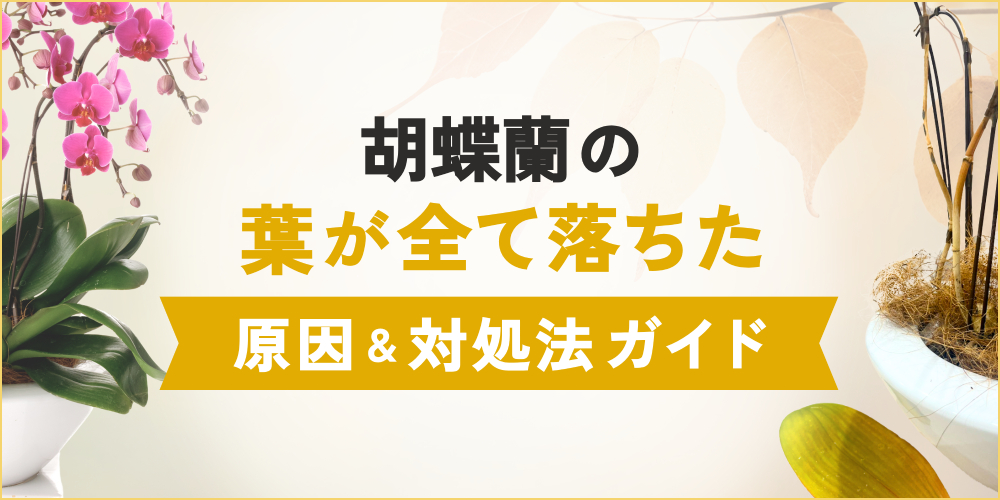 胡蝶蘭の葉が全て落ちた原因とは？効果的な対処法を徹底解説！