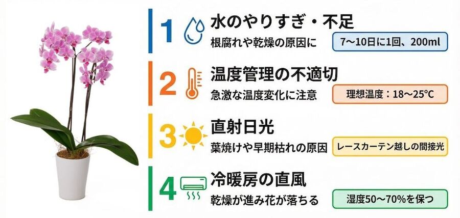 胡蝶蘭の花がしおれて落ちる4つの原因