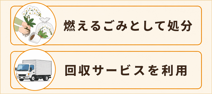胡蝶蘭を処分する場合の正しい方法