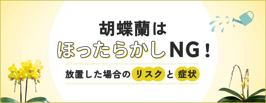 胡蝶蘭はほったらかしNG！